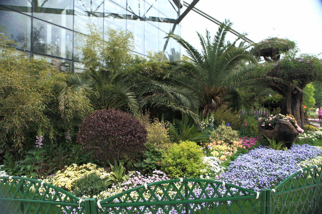 EOS 5D Mark II16_04_20134961.JPG